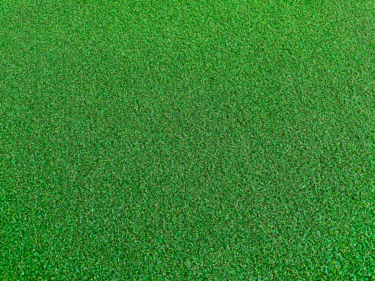 Tapis de putting ARCADIA | Intérieur extérieur