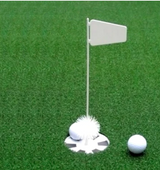 Trou de golf et drapeau THE NET RETURN